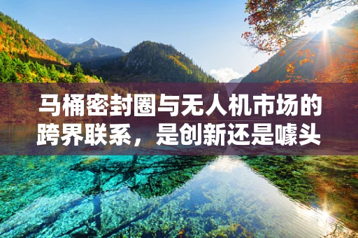 马桶密封圈与无人机市场的跨界联系，是创新还是噱头？