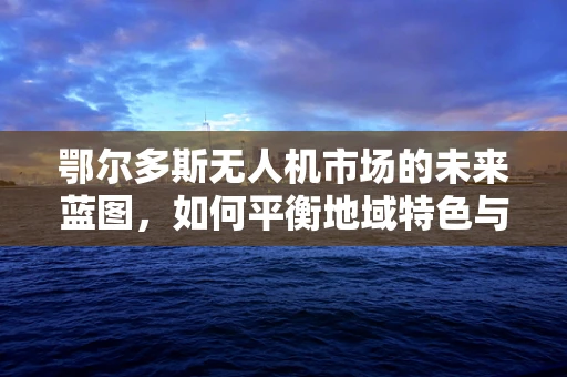 鄂尔多斯无人机市场的未来蓝图，如何平衡地域特色与技术创新？