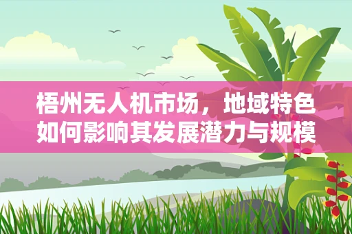 梧州无人机市场，地域特色如何影响其发展潜力与规模？
