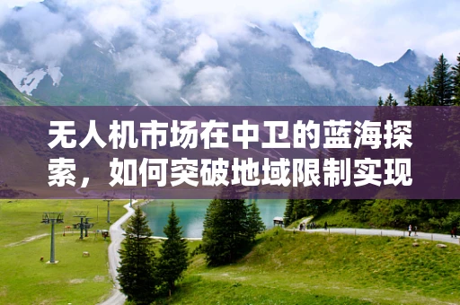 无人机市场在中卫的蓝海探索，如何突破地域限制实现规模化应用？