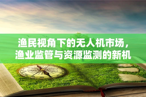 渔民视角下的无人机市场，渔业监管与资源监测的新机遇？