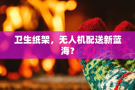 卫生纸架，无人机配送新蓝海？