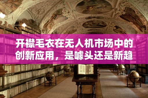 开襟毛衣在无人机市场中的创新应用，是噱头还是新趋势？