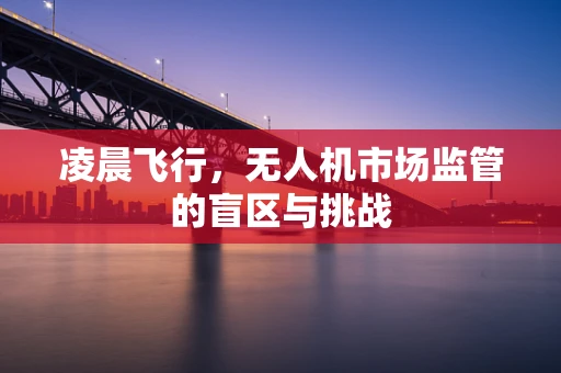 凌晨飞行，无人机市场监管的盲区与挑战