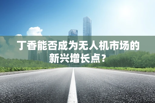 丁香能否成为无人机市场的新兴增长点？