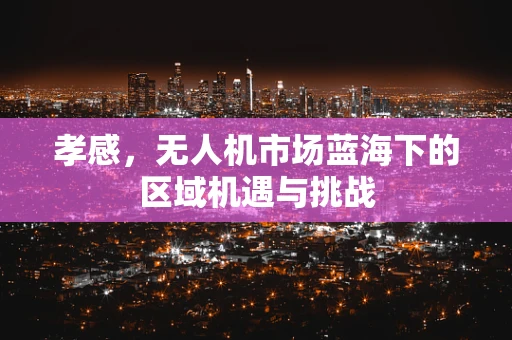 孝感，无人机市场蓝海下的区域机遇与挑战