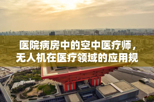 医院病房中的空中医疗师，无人机在医疗领域的应用规模与挑战？