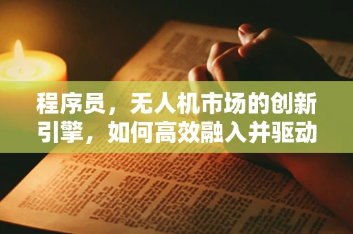 程序员，无人机市场的创新引擎，如何高效融入并驱动技术革新？