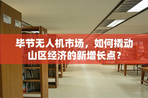 毕节无人机市场，如何撬动山区经济的新增长点？