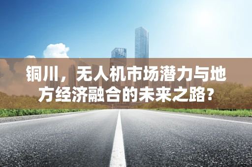 铜川，无人机市场潜力与地方经济融合的未来之路？