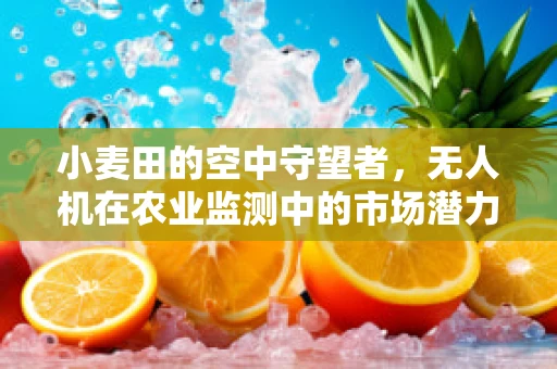 小麦田的空中守望者，无人机在农业监测中的市场潜力