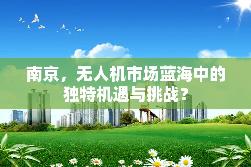 南京，无人机市场蓝海中的独特机遇与挑战？
