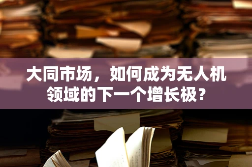大同市场，如何成为无人机领域的下一个增长极？