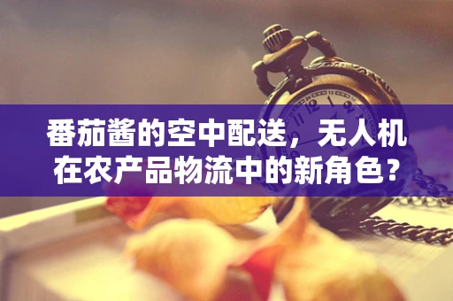 番茄酱的空中配送，无人机在农产品物流中的新角色？