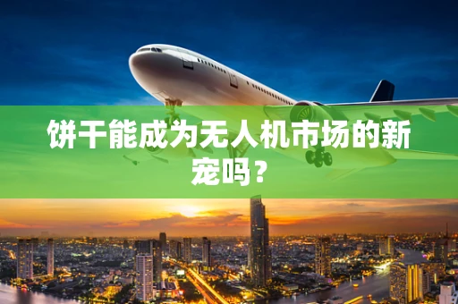 饼干能成为无人机市场的新宠吗？