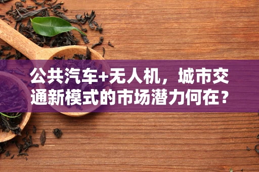 公共汽车+无人机，城市交通新模式的市场潜力何在？