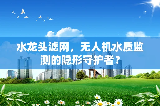水龙头滤网，无人机水质监测的隐形守护者？