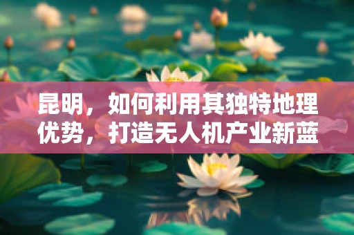 昆明，如何利用其独特地理优势，打造无人机产业新蓝海？
