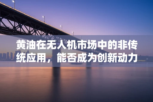 黄油在无人机市场中的非传统应用，能否成为创新动力？