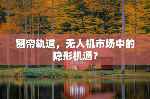 窗帘轨道，无人机市场中的隐形机遇？