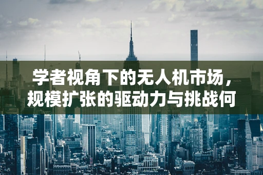 学者视角下的无人机市场，规模扩张的驱动力与挑战何在？