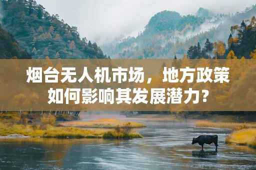 烟台无人机市场，地方政策如何影响其发展潜力？