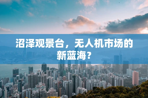 沼泽观景台，无人机市场的新蓝海？
