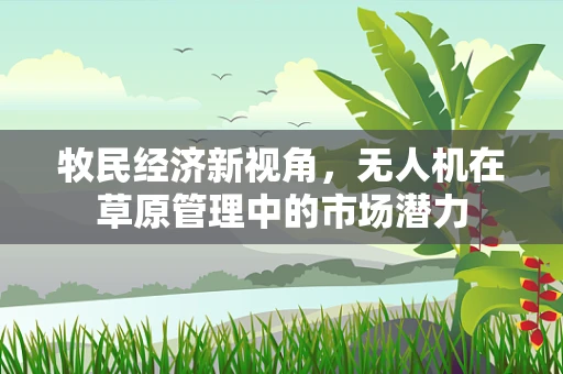 牧民经济新视角，无人机在草原管理中的市场潜力