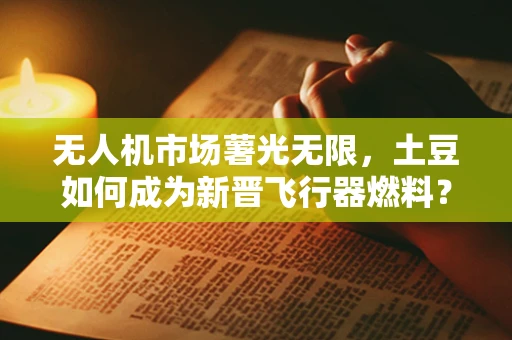 无人机市场薯光无限，土豆如何成为新晋飞行器燃料？