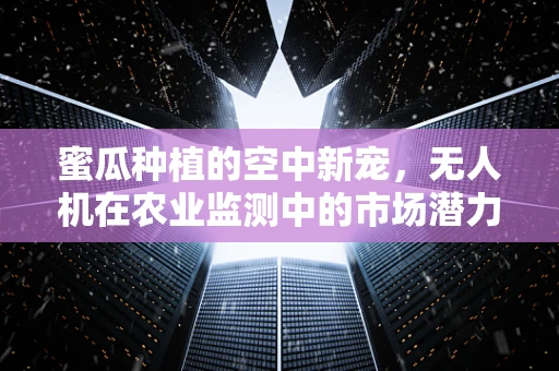 蜜瓜种植的空中新宠，无人机在农业监测中的市场潜力有多大？