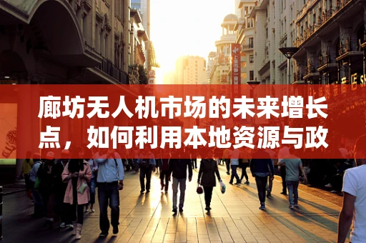 廊坊无人机市场的未来增长点，如何利用本地资源与政策优势？