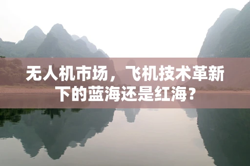 无人机市场，飞机技术革新下的蓝海还是红海？