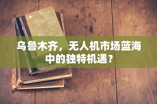乌鲁木齐，无人机市场蓝海中的独特机遇？