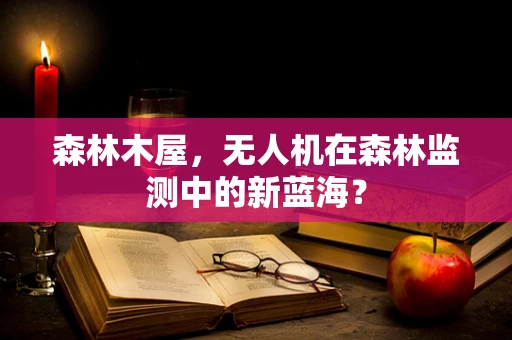 森林木屋，无人机在森林监测中的新蓝海？