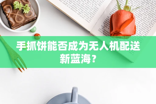 手抓饼能否成为无人机配送新蓝海？