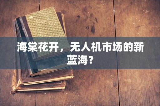 海棠花开，无人机市场的新蓝海？