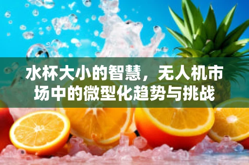水杯大小的智慧，无人机市场中的微型化趋势与挑战