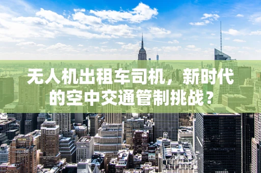 无人机出租车司机，新时代的空中交通管制挑战？