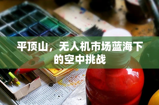 平顶山，无人机市场蓝海下的空中挑战