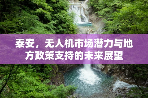 泰安，无人机市场潜力与地方政策支持的未来展望