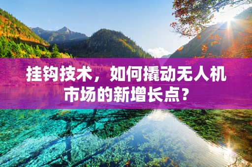 挂钩技术，如何撬动无人机市场的新增长点？