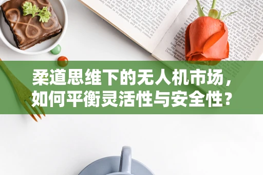 柔道思维下的无人机市场，如何平衡灵活性与安全性？
