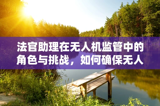 法官助理在无人机监管中的角色与挑战，如何确保无人机市场合规性？