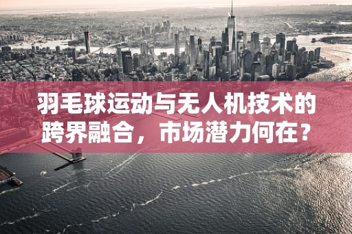 羽毛球运动与无人机技术的跨界融合，市场潜力何在？