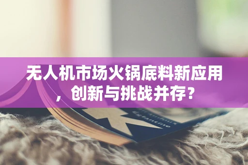 无人机市场火锅底料新应用，创新与挑战并存？
