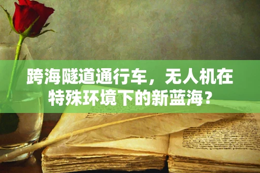 跨海隧道通行车，无人机在特殊环境下的新蓝海？