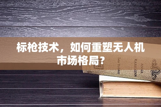 标枪技术，如何重塑无人机市场格局？