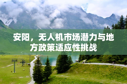 安阳，无人机市场潜力与地方政策适应性挑战