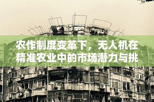 农作制度变革下，无人机在精准农业中的市场潜力与挑战何在？
