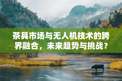 茶具市场与无人机技术的跨界融合，未来趋势与挑战？